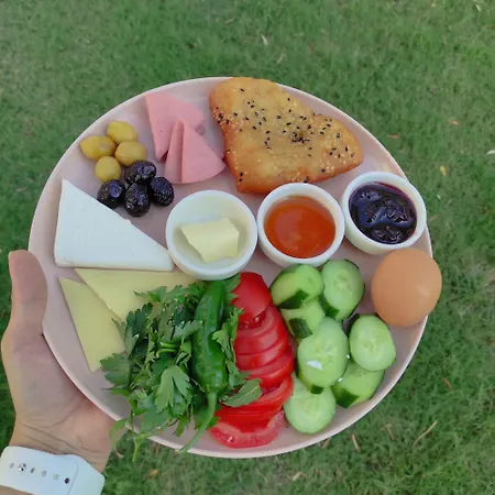 Oliva Casa Датча