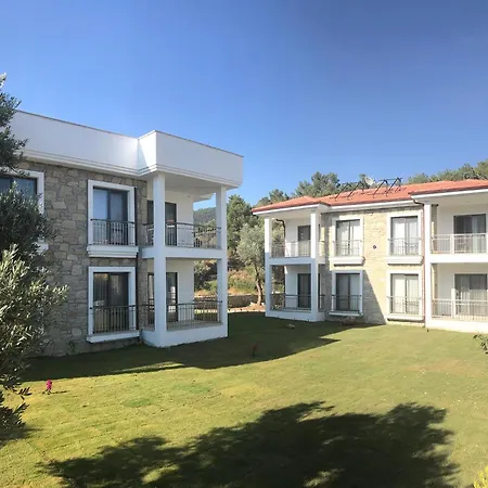 Oliva Casa *