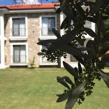 Oliva Casa Datça